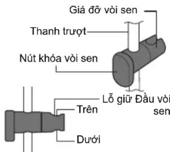 Giá dỡ vòi sen Thanh trượt Nút khóa vòi sen Lỗ giữ Đầu vòi sen Trên Dưới