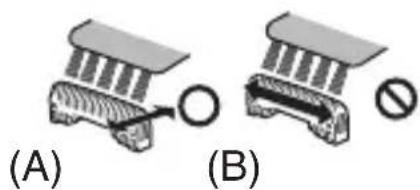 (A) (B)