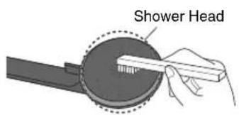 Shower Head