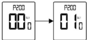 P200 00 SCT 0 → P200 0 1 SCT 0