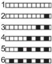 IFB Neptune FX1 - Test Strip - 5