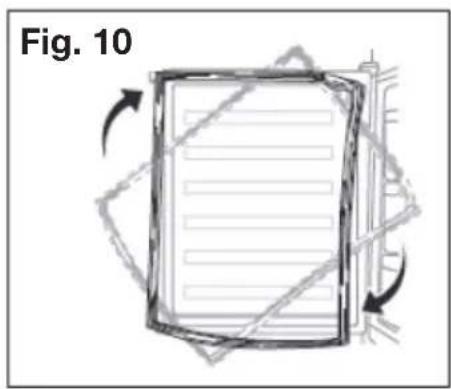 Fig. 10