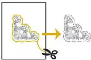 Diagram showing a hair follicle being cut with scissors, illustrating the process from hair follicle to hair follicle.