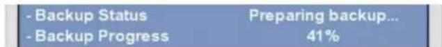 - Backup Status - Backup Progress Preparing backup... 41%