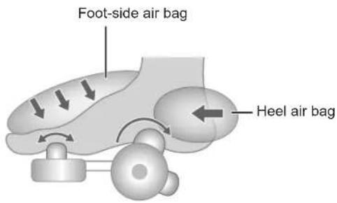 Foot-side air bag. Heel air bag.