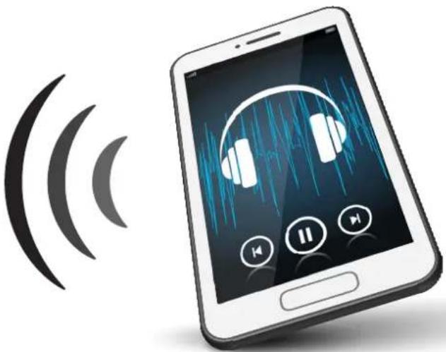 MONSTER Rove - BLUETOOTH CONNECTION - 1