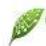 Greentec QT7 - Power - 1