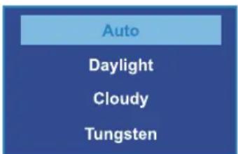 Auto Daylight Cloudy Tungsten