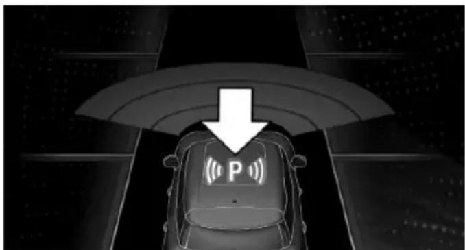 (P)