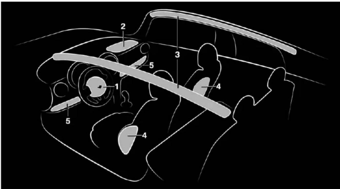 Anatomical diagram of a biological structure with numbered labels pointing to specific parts.