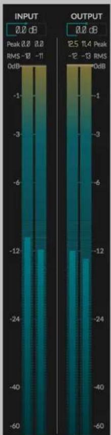 EVENTIDE Punctuate - INPUTANDOUTPUTLEVELANDBARMETERS - 1