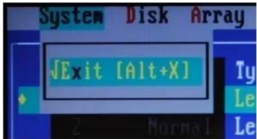 System Disk Array [Exit [Alt+X] Ty Le Le 2 Normal