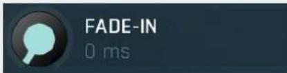 FADE-IN 0 ms