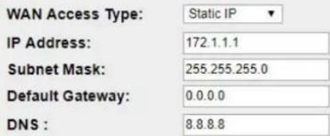 WAN Access Type: Static IP IP Address: 172.1.1.1 Subnet Mask: 255.255.255.0 Default Gateway: 0.0.0.0 DNS : 8.8.8.8