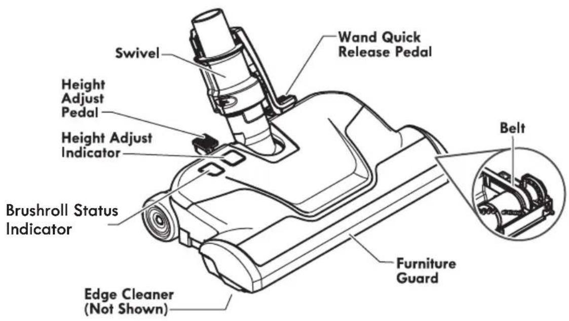 Swivel Height Adjust Pedal Height Adjust Indicator Brushroll Status Indicator Edge Cleaner (Not Shown) Wand Quick Release Pedal Belt Furniture Guard