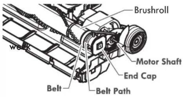 Brushroll Motor Shaft End Cap Belt Belt Path week