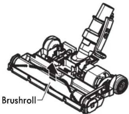 Brushroll—