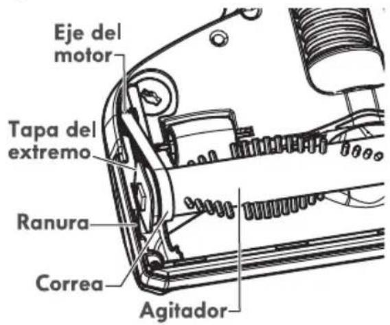Eje del motor Tapa del extremo Ranura Correa Agitador