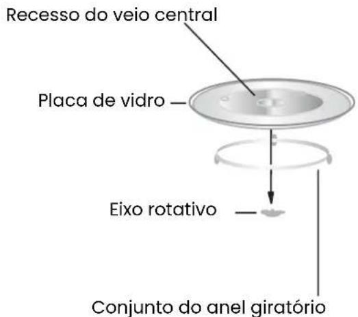 Recesso do veio central Placa de vidro — Eixo rotativo — Conjunto do anel giratório