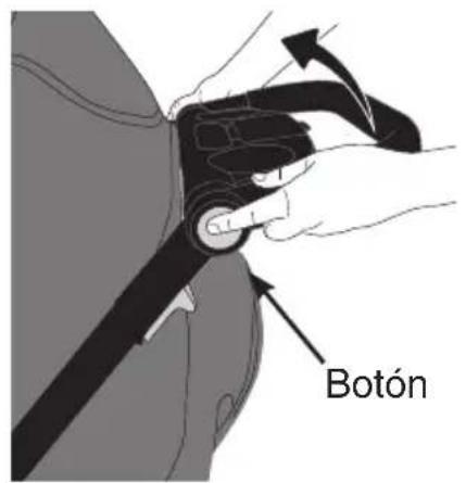 Botón