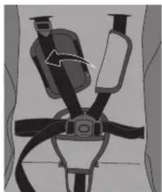 Evenflo Clover - HARNESS - 4