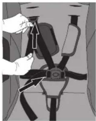 Evenflo Clover - HARNESS - 3