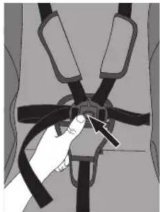 Evenflo Clover - HARNESS - 2