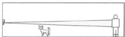 Simple line drawing of a person standing near a dog, with no text or symbols present.