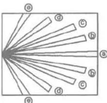 graph TD A["Center"] --> B["a"] A --> C["b"] A --> D["c"] A --> E["d"] A --> F["e"] A --> G["f"] A --> H["g"] A --> I["h"] A --> J["j"] A --> K["k"] A --> L["l"]