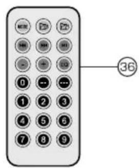 36