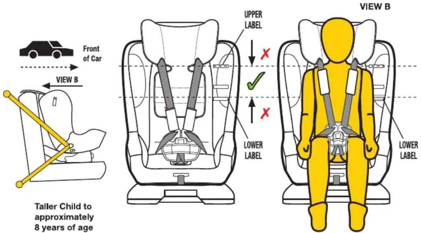 Front of Car VIEW B Taller Child to approximately 8 years of age UPPER LABEL LOWER LABEL VIEW B LOWER LABEL