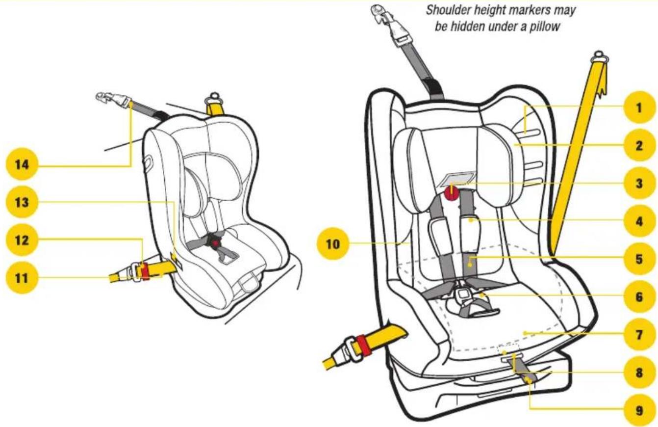 Shoulder height markers may be hidden under a pillow 14 13 12 11 10 1 2 3 4 5 6 7 8 9