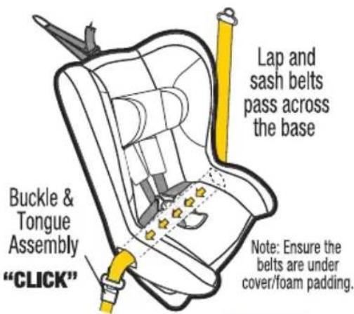 Buckle & Tongue Assembly "CLICK" Lap and sash belts pass across the base Note: Ensure the belts are under cover/foam padding.