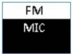 FM MIC