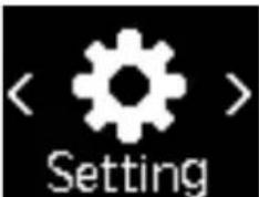 < > Setting