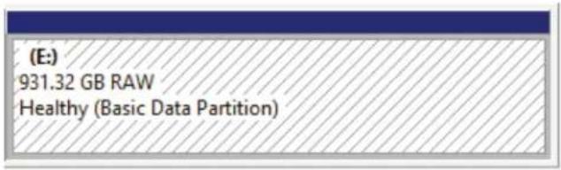 (E:) 931.32 GB RAW Healthy (Basic Data Partition)