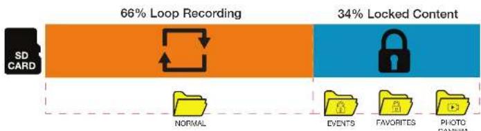COBRA SC 250R - Memory Card Storage - 1