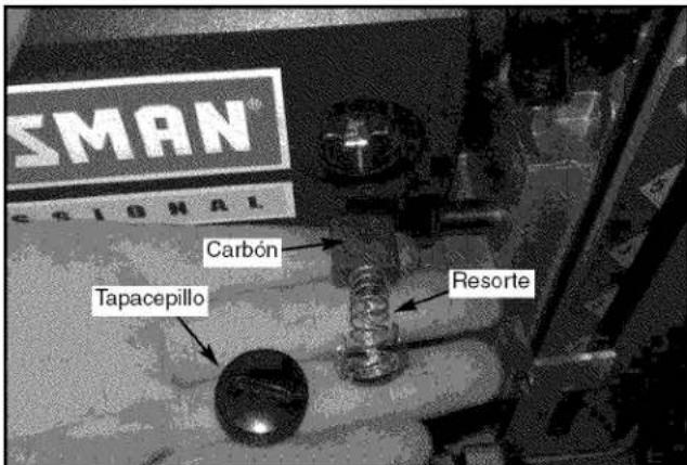 SMAN® CO-IONAL Carbon Tapacepillo Resorte