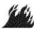 Craftsman 580.752630 - WARNING - 1