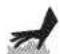 Craftsman 580.752630 - WARNING - 1