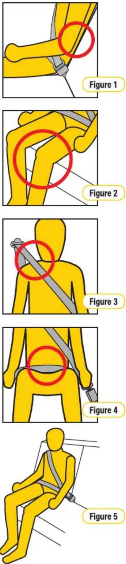 InfaSecure Pinnacle - Five Step Test - 1