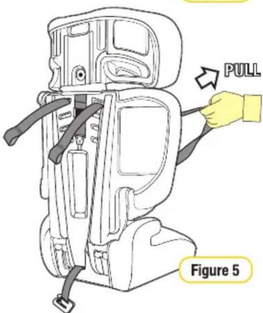 PULL Figure 5
