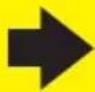InfaSecure Pinnacle - FORWARD-FACING BELT PATH - 2