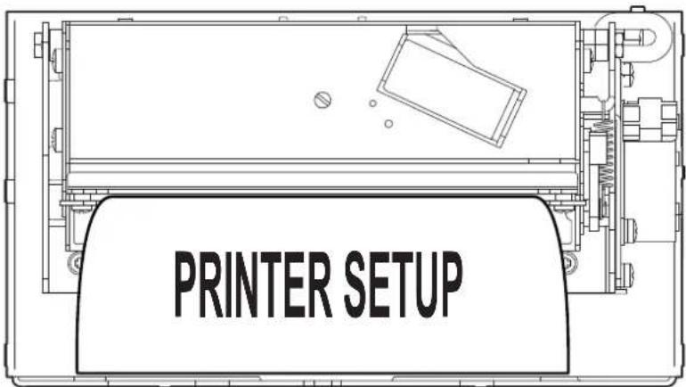 PRINTER SETUP
