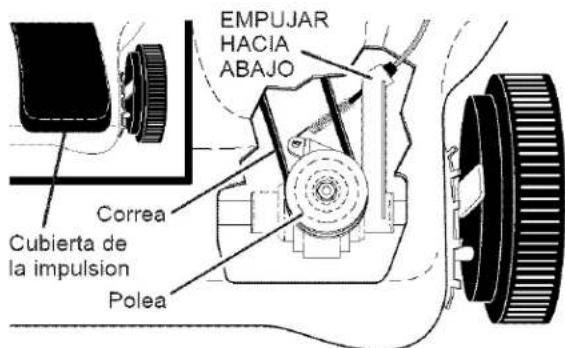 EMPUJAR HACIA ABAJO Correa Cubierta de la impulsion Polea