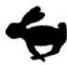 Craftsman 917.376657 - KNOW YOUR LAWN MOWER - 4