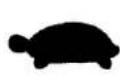 Craftsman 917.376657 - KNOW YOUR LAWN MOWER - 5
