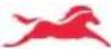 TVS Jupiter ZX - TUBELESS TYRES - 1