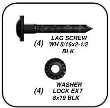 (4) LAG SCREW WH 5/16x2-1/2 BLK WASHER LOCK EXT 8x19 BLK