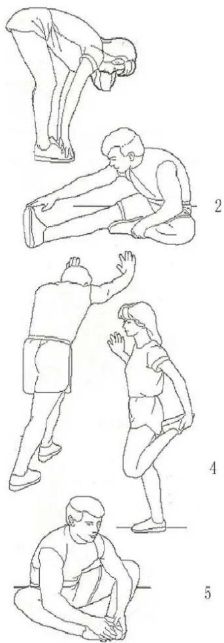 Illustration showing five sequential steps of a stretching exercise, labeled 2 to 5.